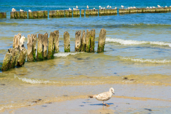 Ein Tag an der Ostsee